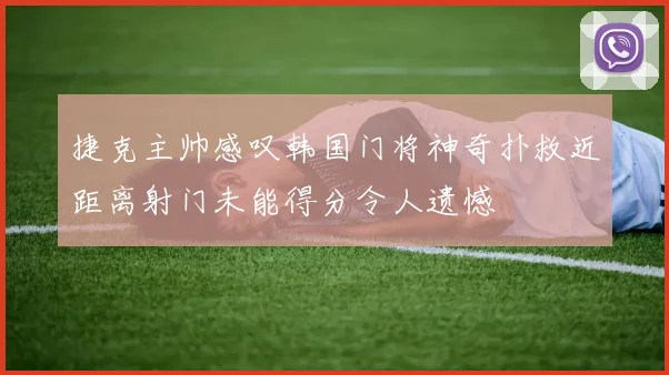 捷克主帅感叹韩国门将神奇扑救近距离射门未能得分令人遗憾