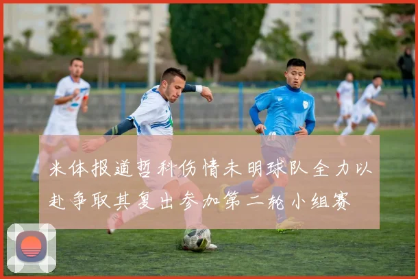米体报道哲科伤情未明球队全力以赴争取其复出参加第二轮小组赛